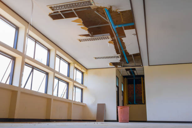 Best Mold removal after water damage  in Forrest City, AR