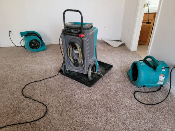Best Water damage restoration mold remediation  in Forrest City, AR