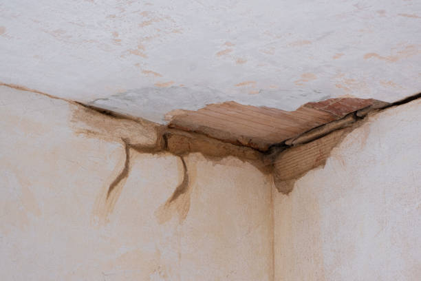 Best Flooded house restoration  in Forrest City, AR