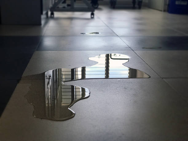 Water damage restoration insurance claims in AR