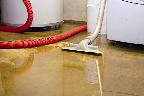 Best Water damage restoration near me  in Forrest City, AR