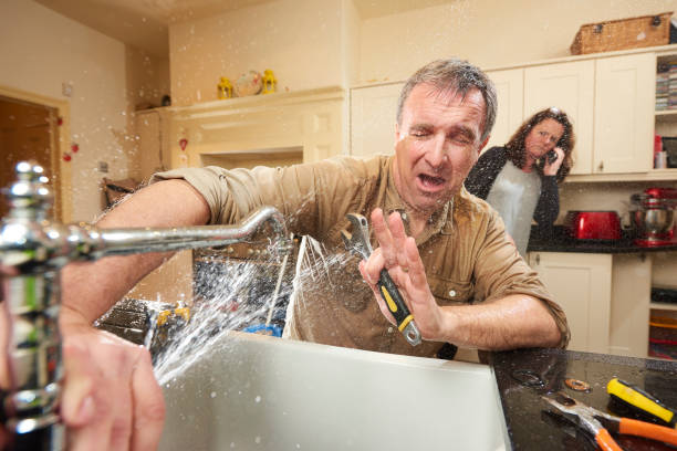 Best Fire Damage Restoration  in Forrest City, AR